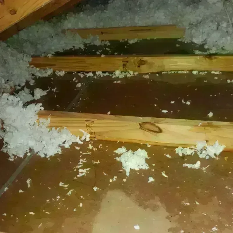 Attic Water Damage in Lindsay, OK