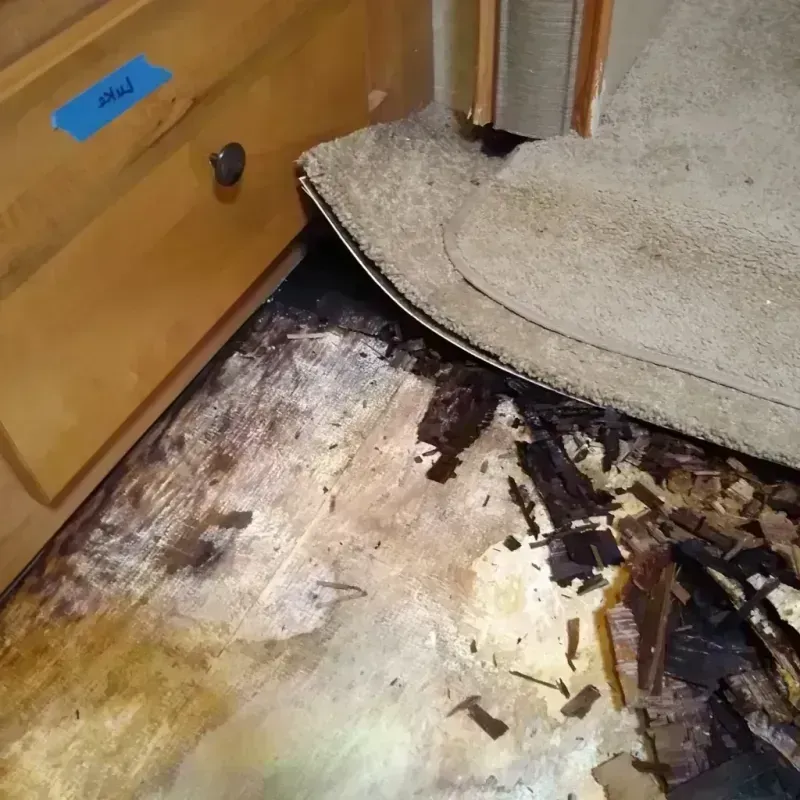 Wood Floor Water Damage in Lindsay, OK